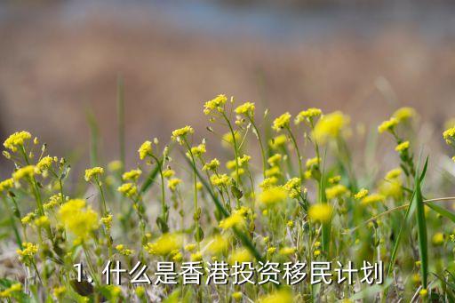 1. 什么是香港投资移民计划
